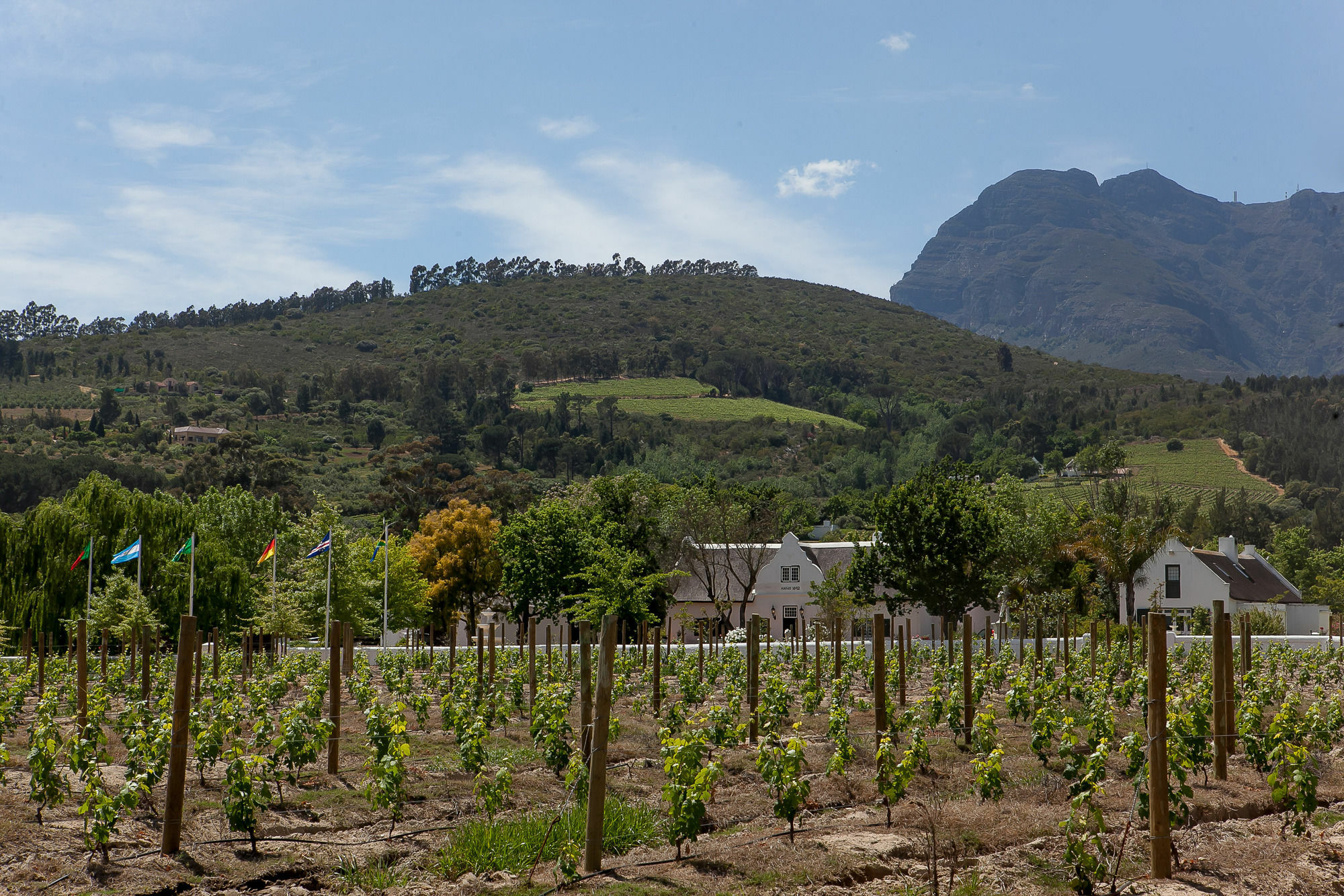 1692 De Kleijne Bos Country House Paarl Exteriér fotografie